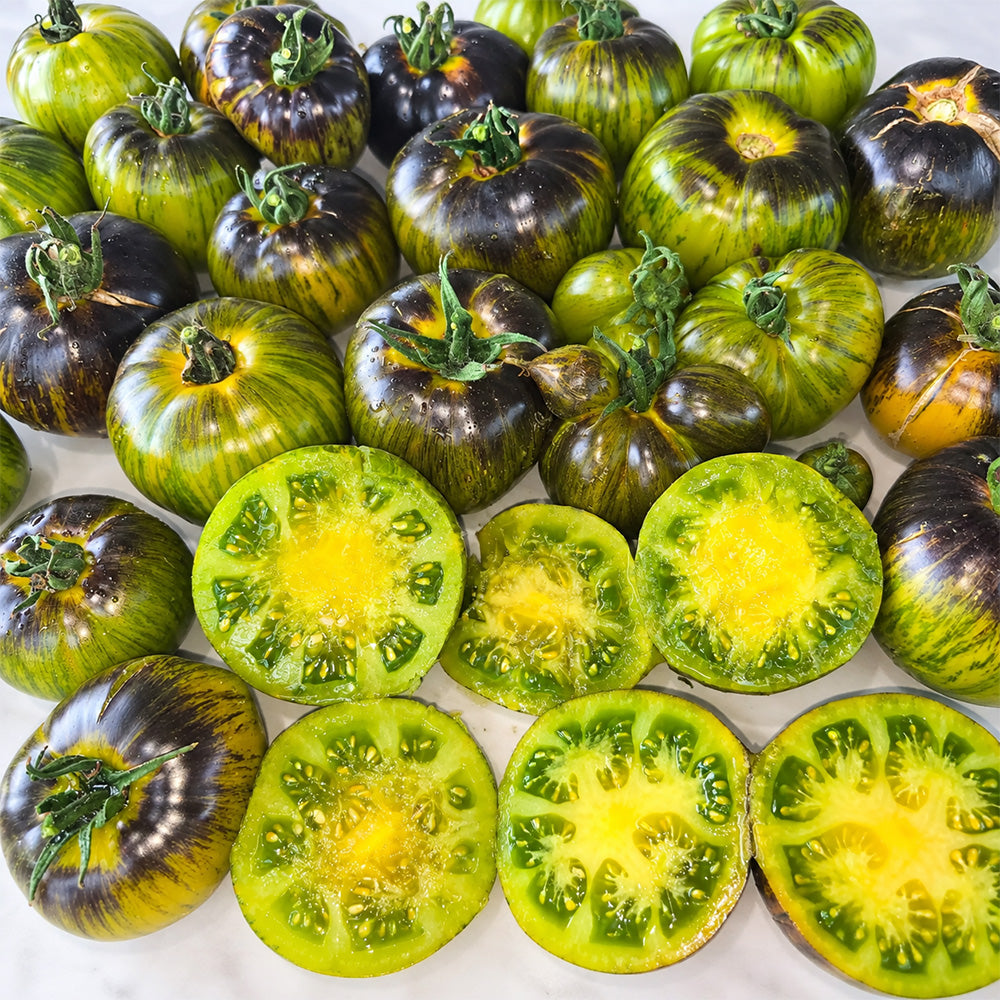 411 Xanadu Green Goddess Tomato