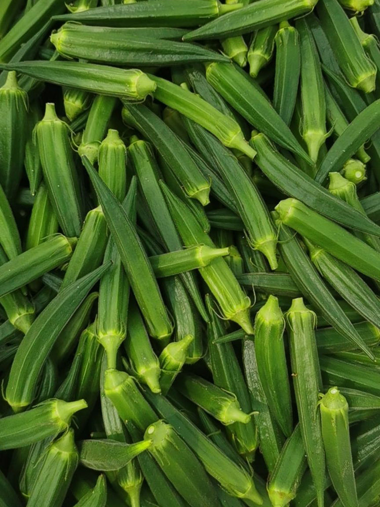 Lianglv No.2 Okra