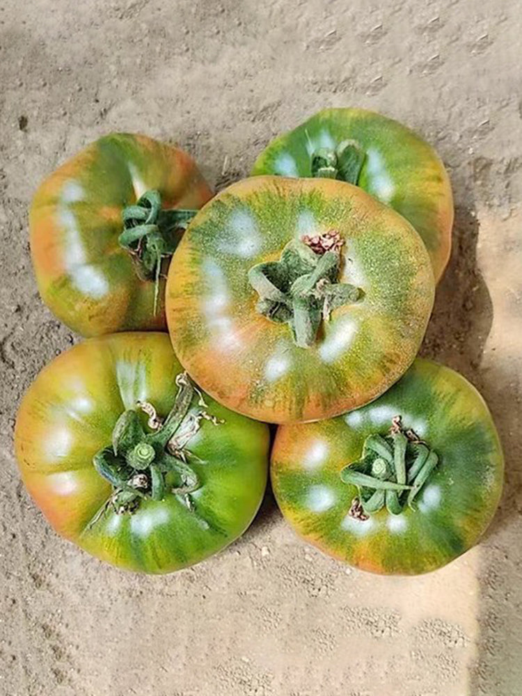 'Strawberry' Tomato