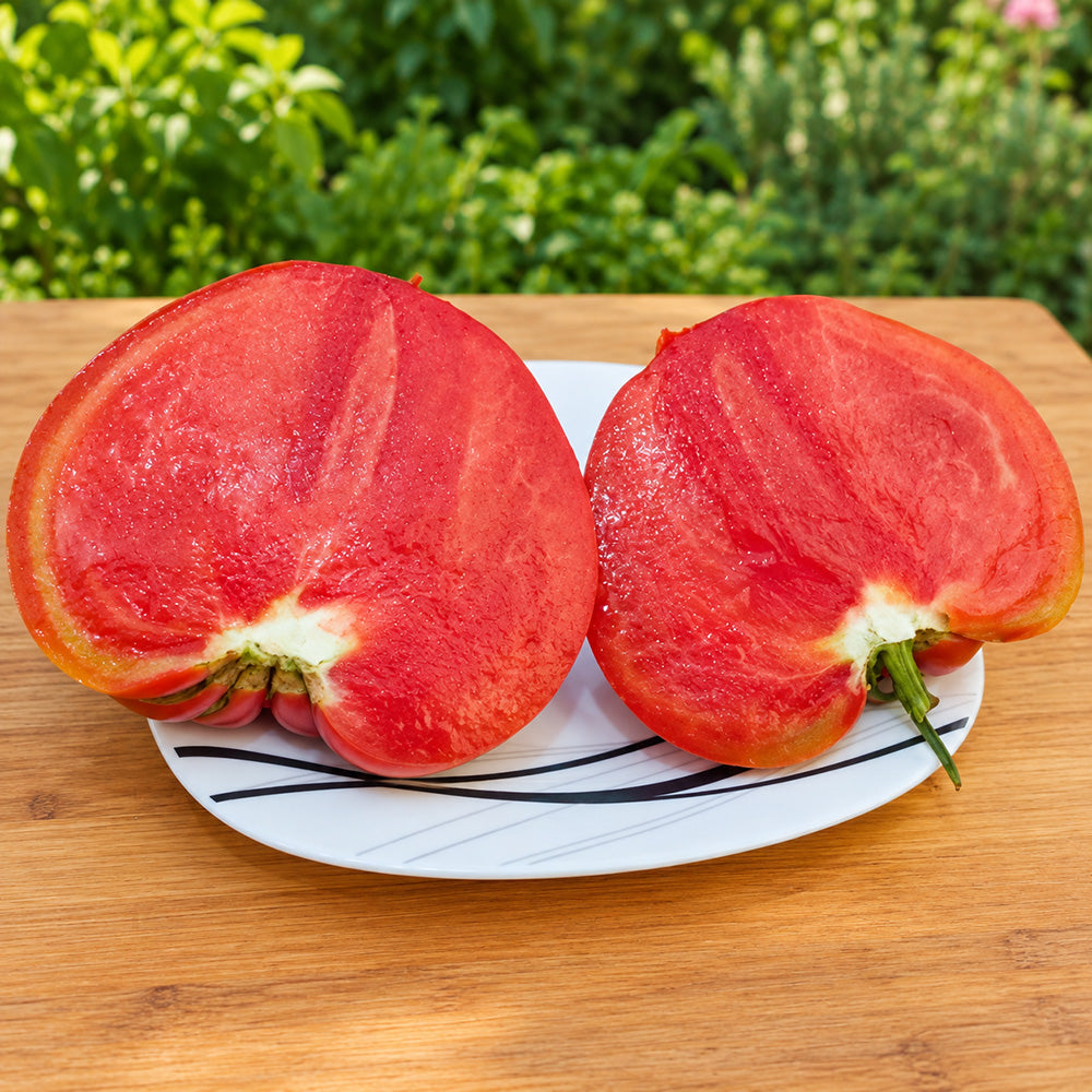 490 Grandma's Honey Tomato