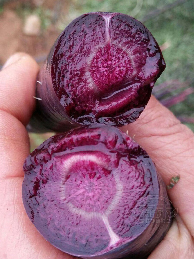 Blackish Purple Carrots