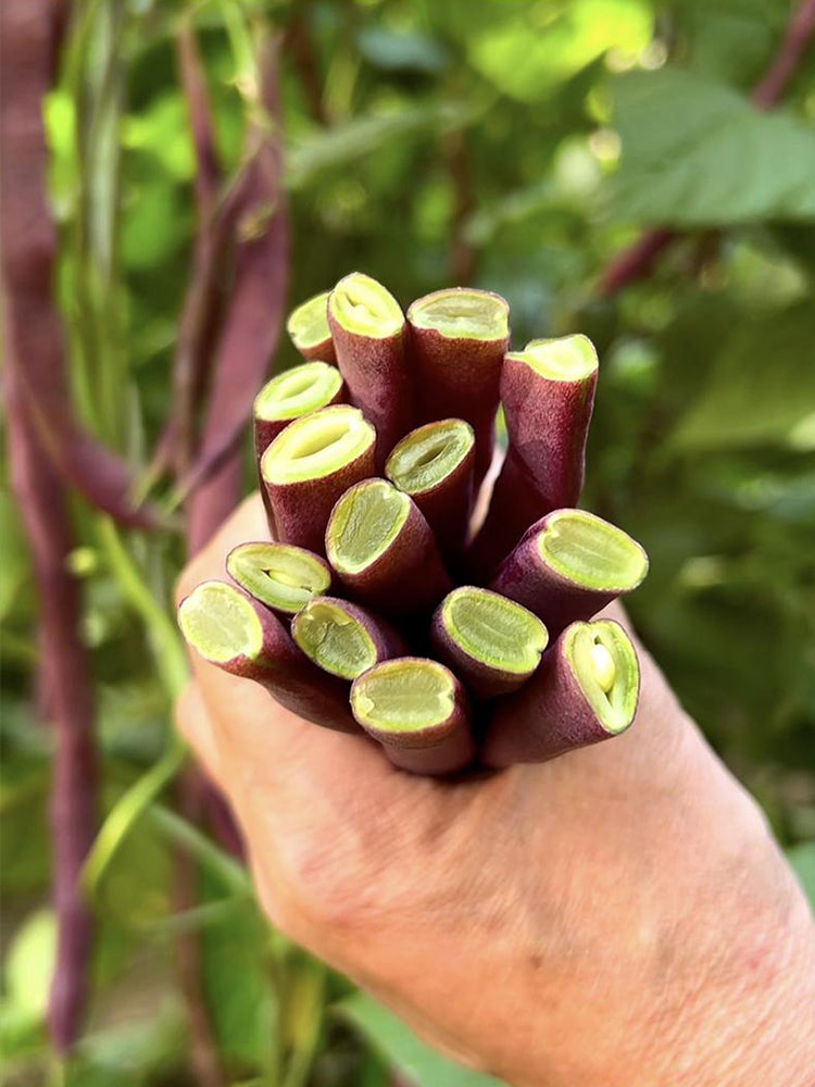 Huajun No.8 Purple Kidney Beans