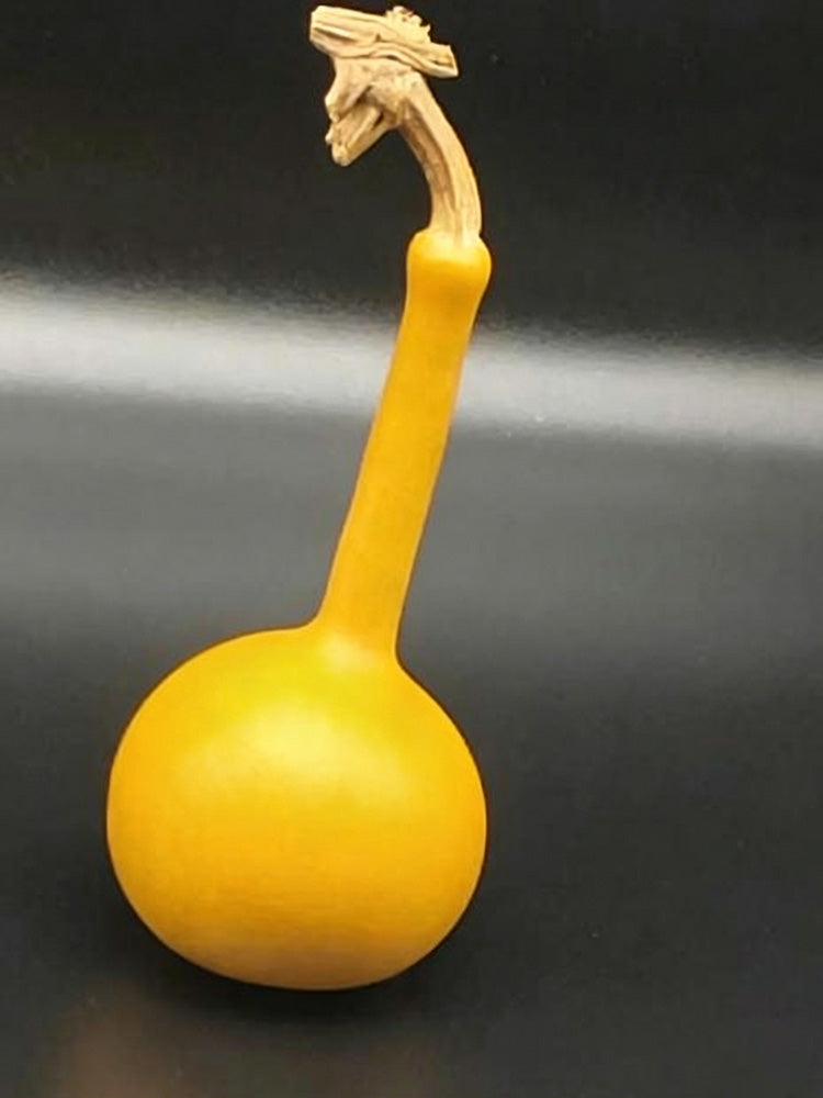 Small Long-handled Gourd