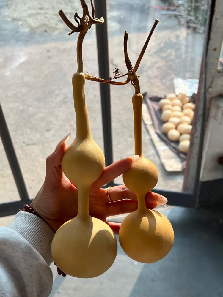 Xiaosan Ting Gourd