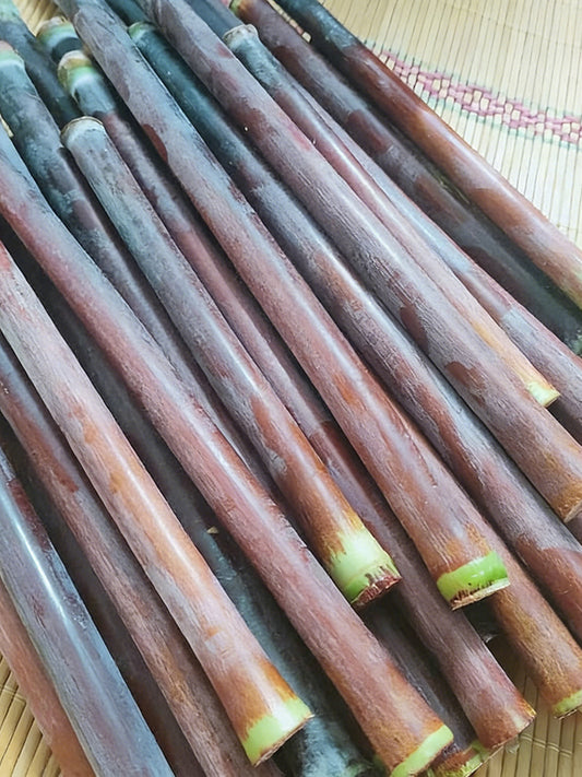 Supersweet Violet Sweet Sorghum