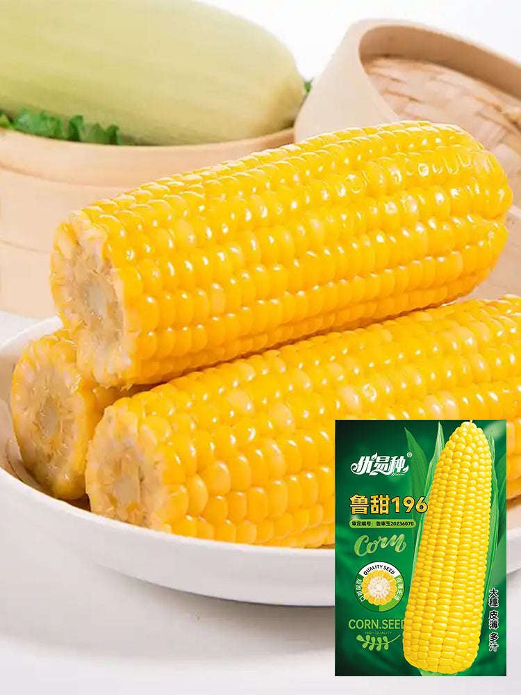 Lutian 196 Sweet Corns