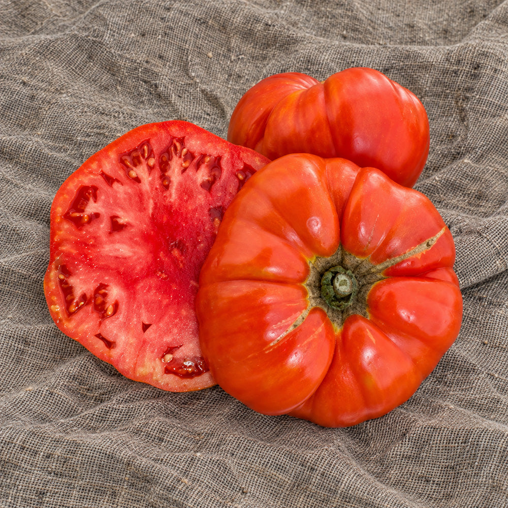 454 Big Zac Giant Tomato