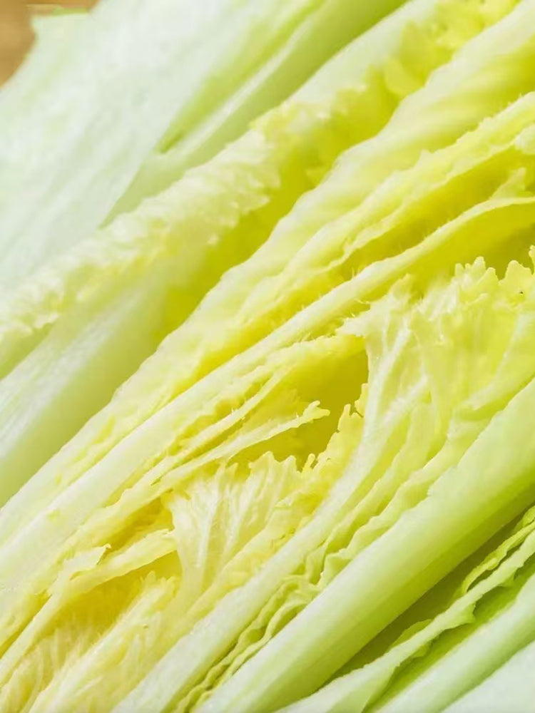 'Green Bamboo 70' Chinese Cabbage