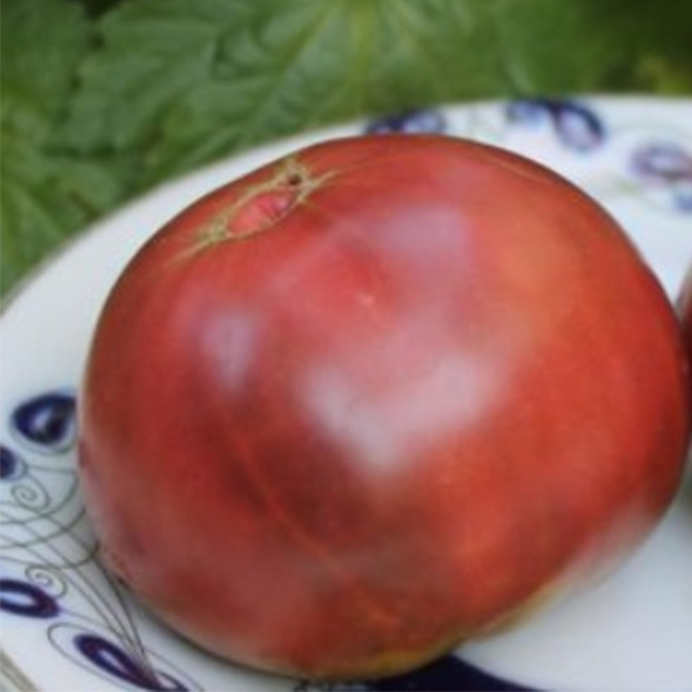 673 Cherokee Purple Stripe Tomato