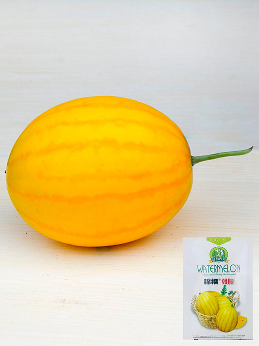 'Fuqi Chaoyang' Watermelon