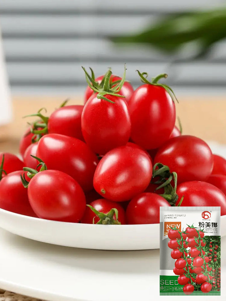 Fen Meina Cherry Tomato