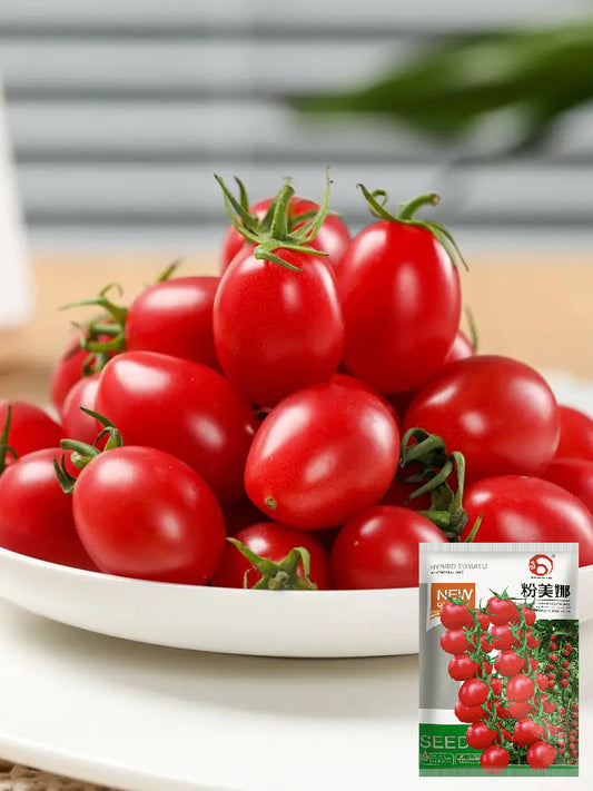 Fen Meina Cherry Tomato