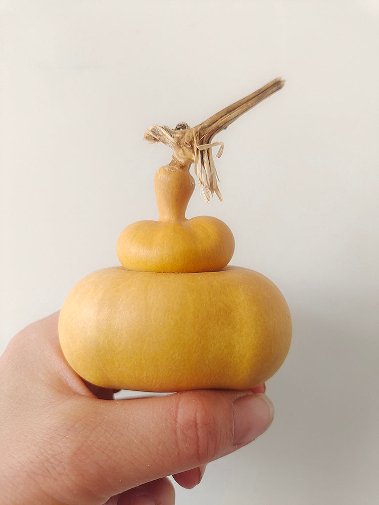 Money Bag Eight Treasures Gourd