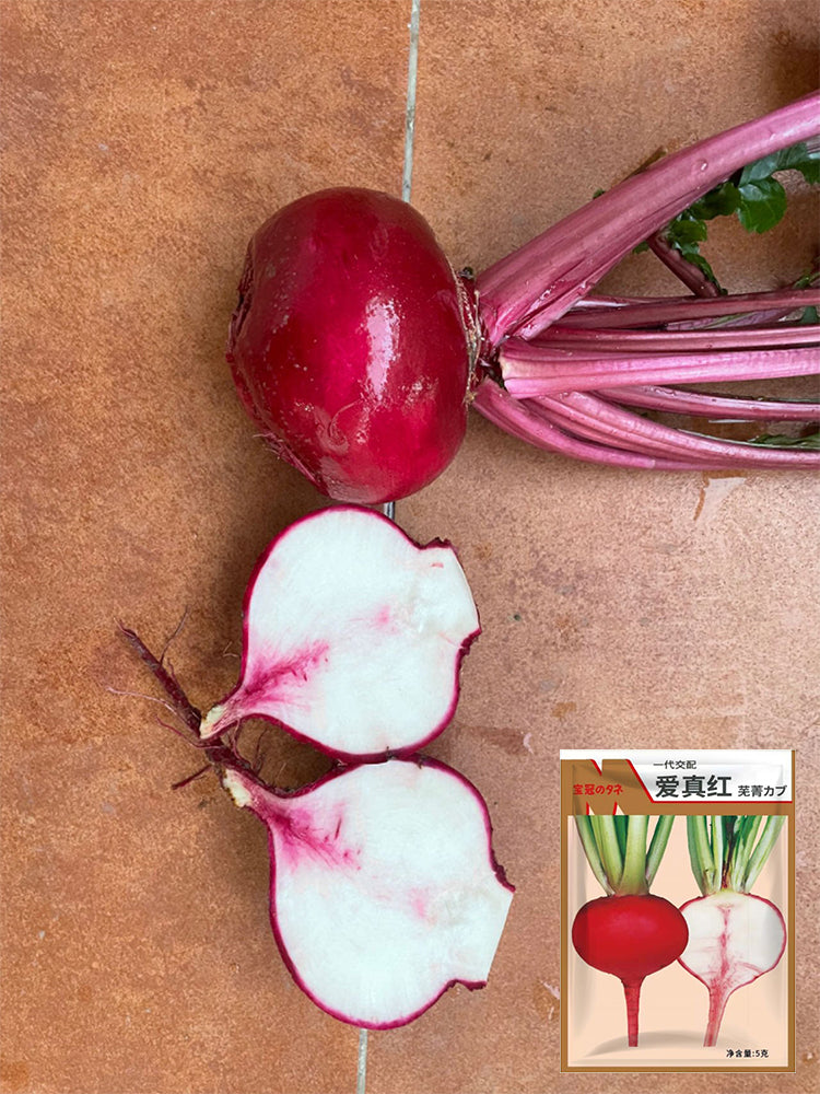 'Aizhenhong' Turnip