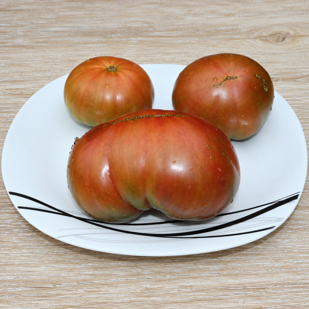 240 Dwarf BSP Tomato