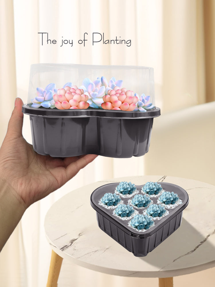 N298 Seed Starter Trays