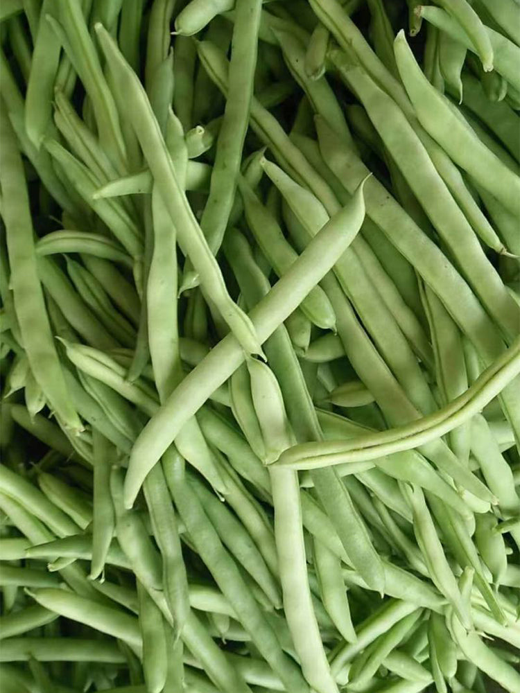'Shuangqing No.35' Snap Bean