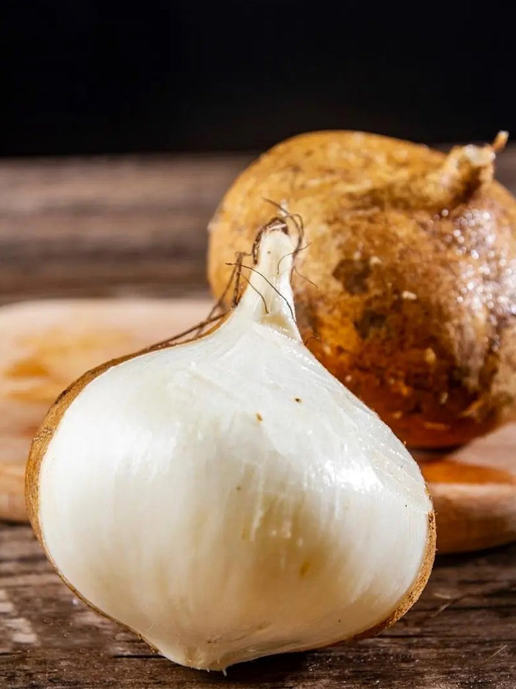 Yam Bean (Pachyrhizus erosus)