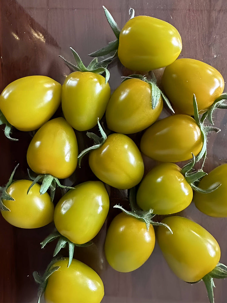 Qingguo Qingcheng F1 Tomato