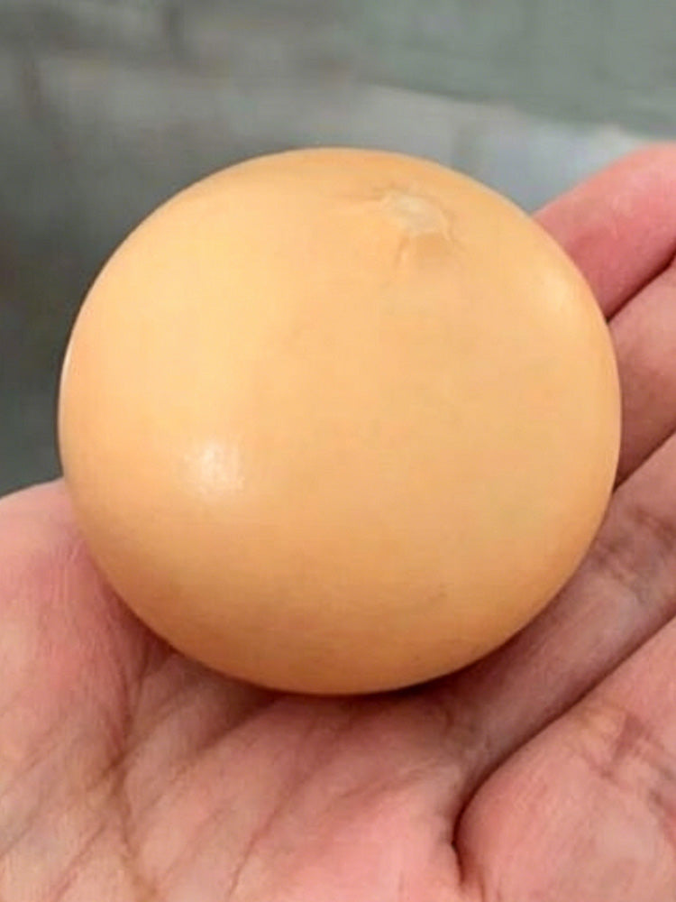 Egg Gourd