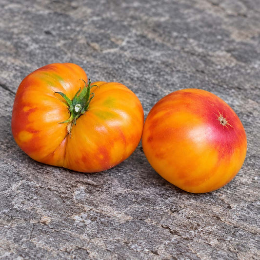 631 Orange Orangutan Tomato