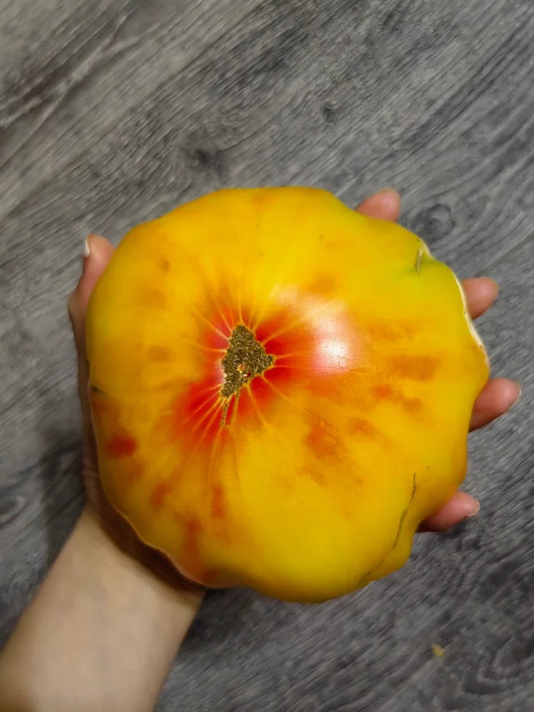 Cocktail Fruit Tomato