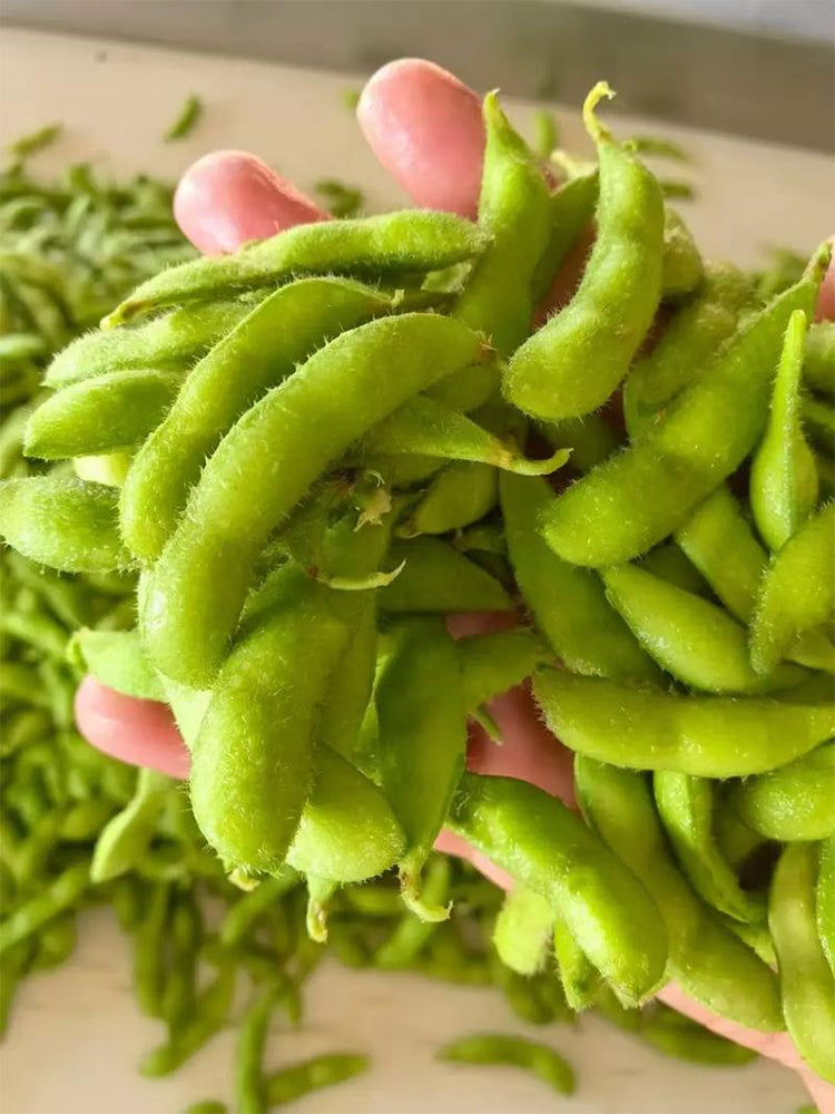 Jiaoda No.18 Edamame