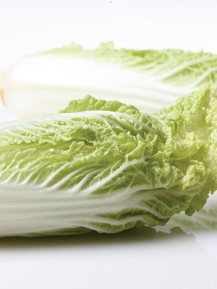 Jinsi White No. 1 Pak Choi