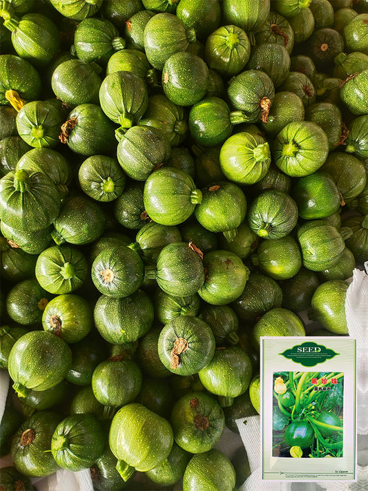 Black Pearl Round Zucchini