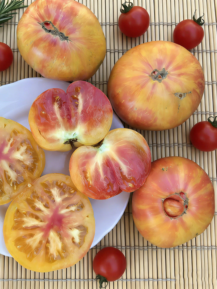 Hillbilly Potato Leaf Tomato