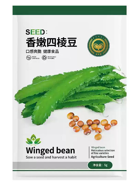 Winged Bean (Psophocarpus Tetragonolobus)