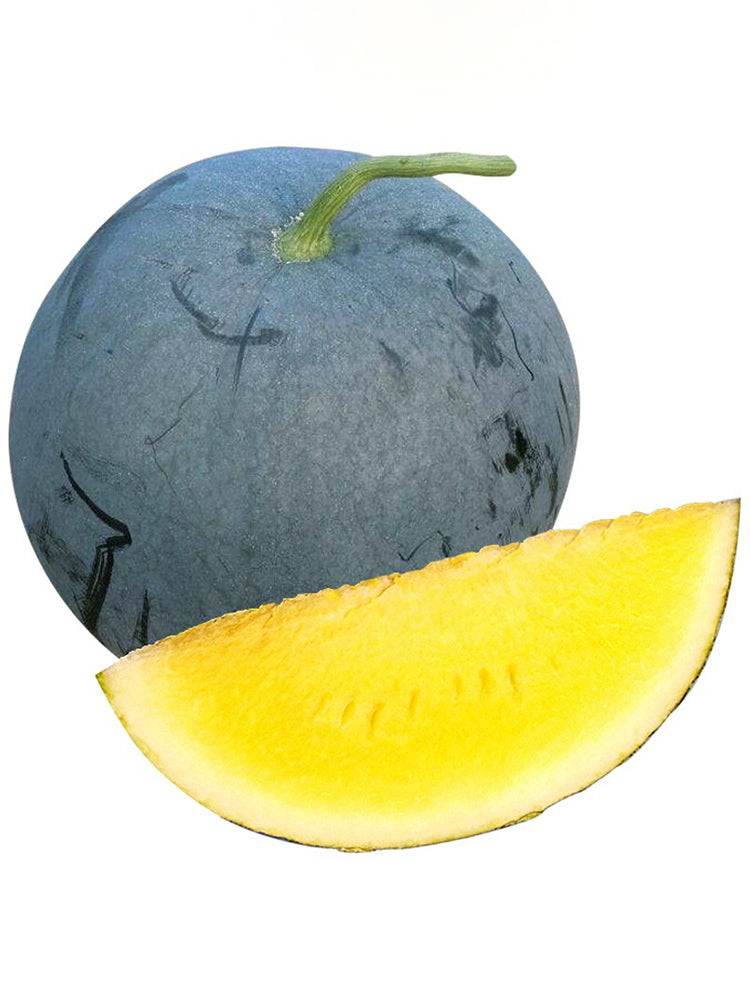 'Golden Obsidian' Seedless Watermelon