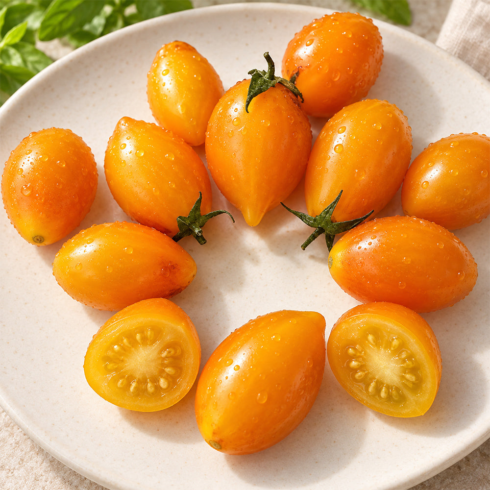 303 Blue Waterfall Gold Tomato