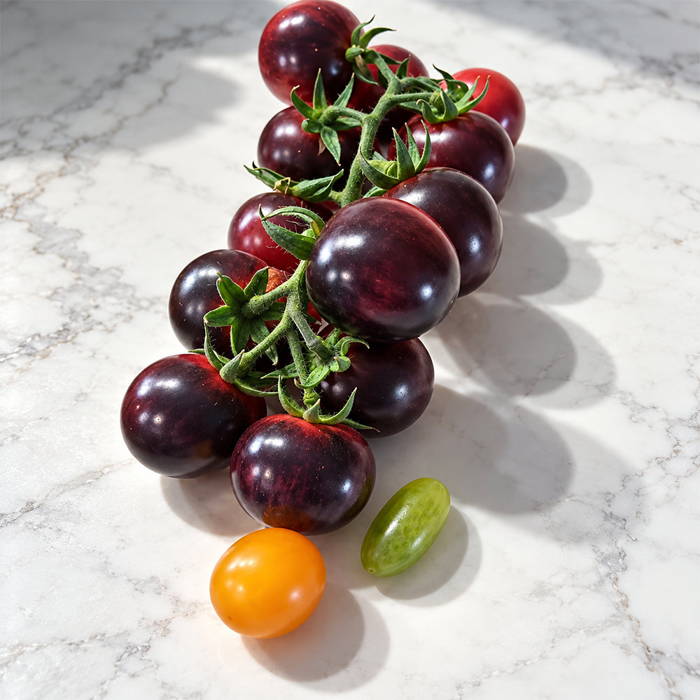 191 Märchenglanz (Fairytale Shine) Tomato