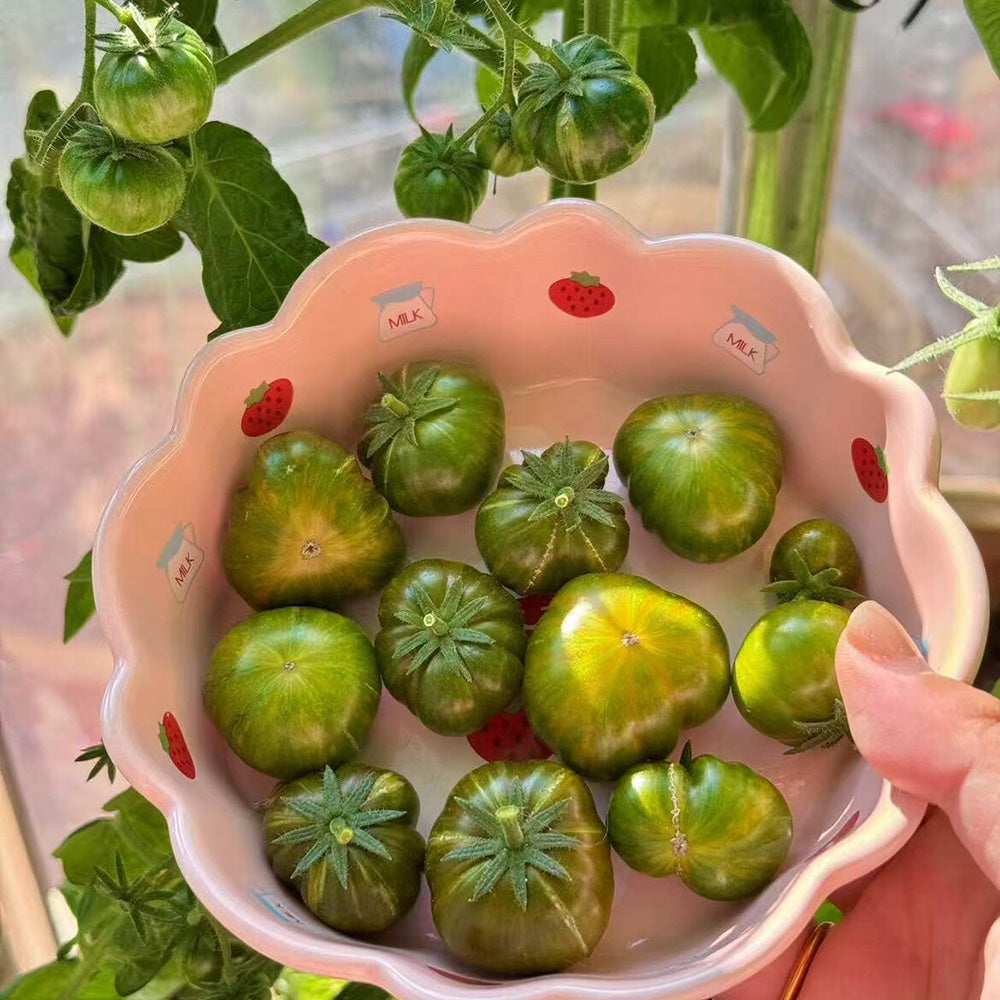 604 Eden Micro No. 4 Tomato