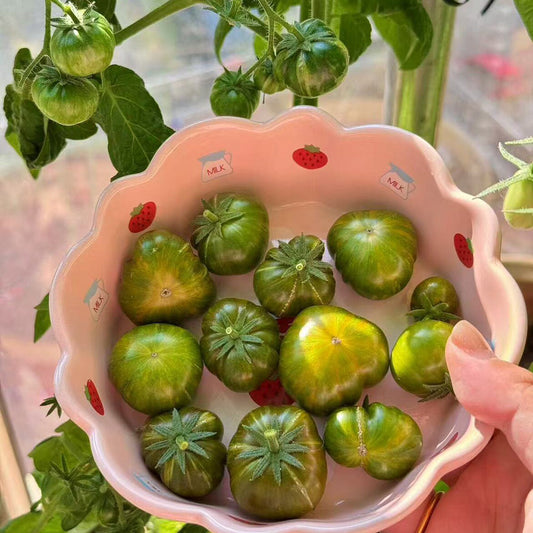 604 Eden Micro No. 4 Tomato