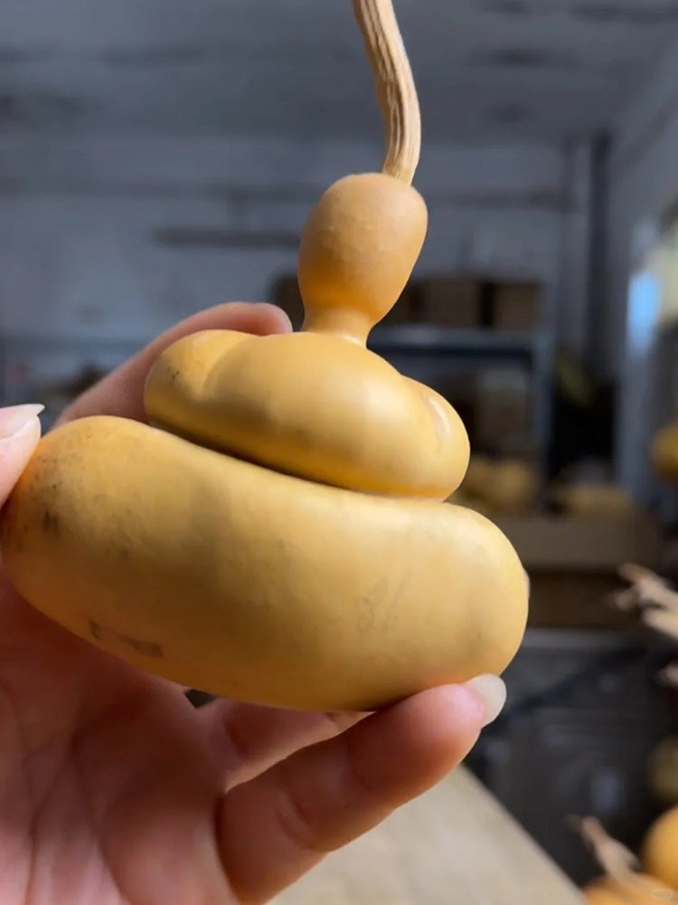 Money Bag Eight Treasures Gourd