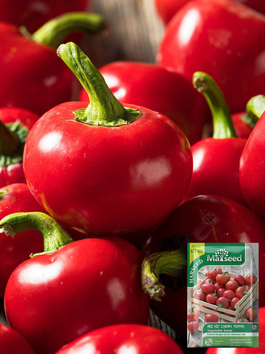 Red Hot Cherry Pepper