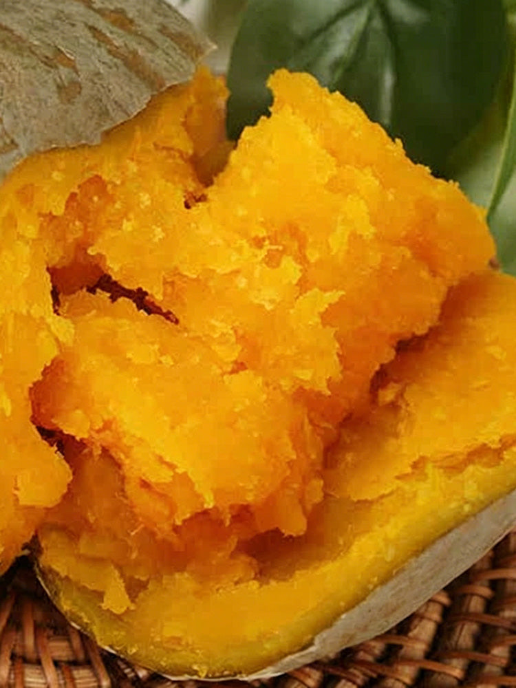 Fushun Ribbed Ugly Pumpkin