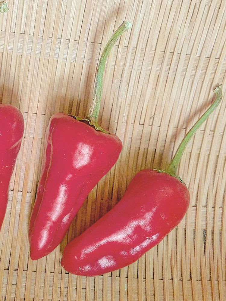 Syrian Has Goli Hot Pepper