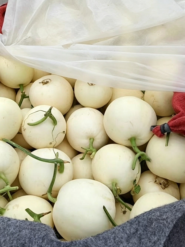 Shengyu No.1 F1 Melon