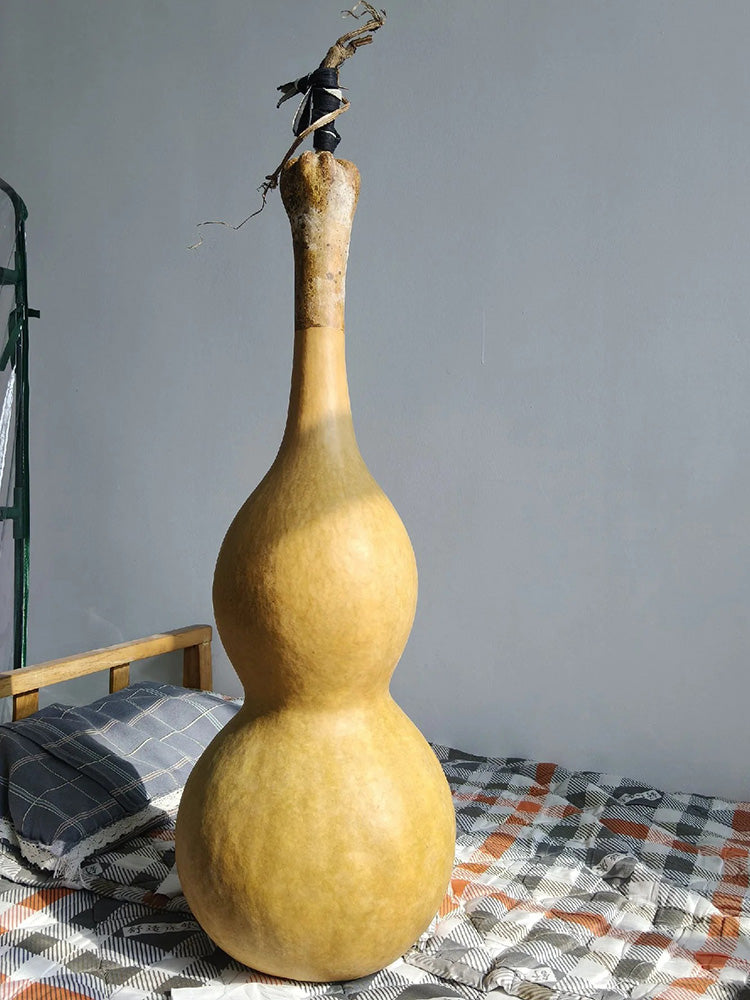 Extra Large Waist Gourd