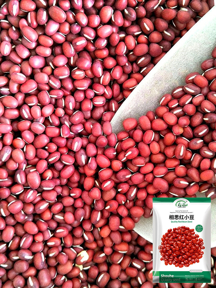 Xiangsi Red Bean
