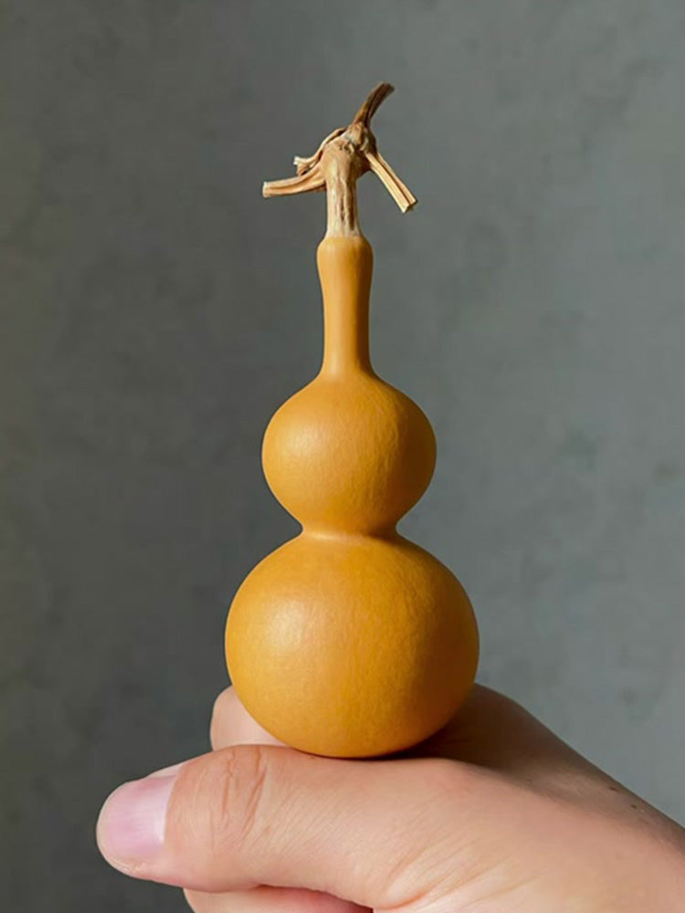 Tianjin Mouth Gourd