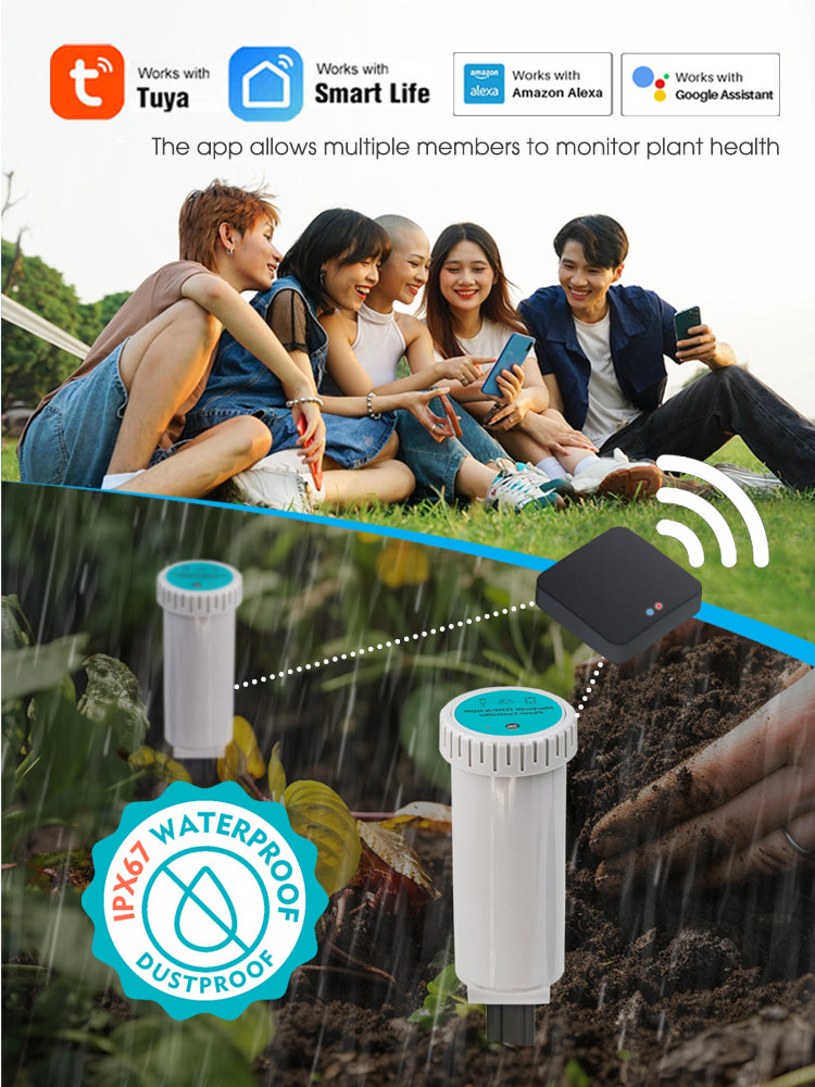 N335 2-IN-1 Bluetooth Soil Sensor with Gateway