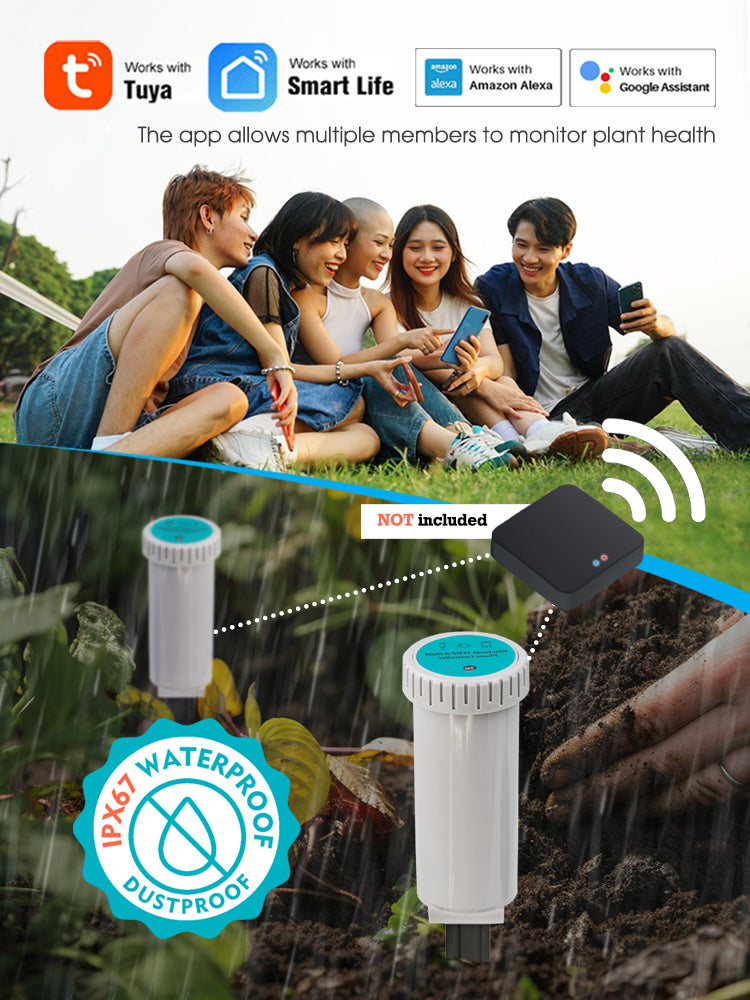 N336 2-IN-1 Bluetooth Soil Sensor