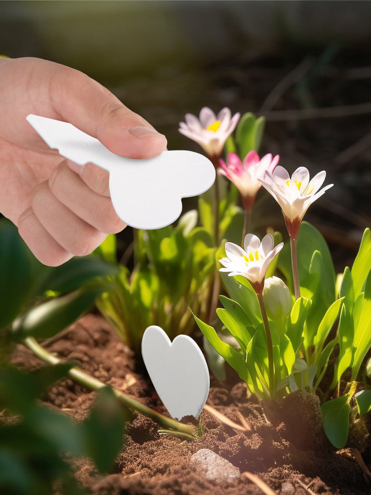 N311 Heart-shaped Plant Labels