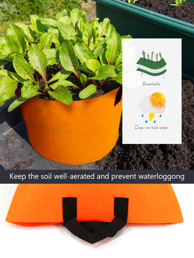 N666 'Orange' Eco Grow Bags