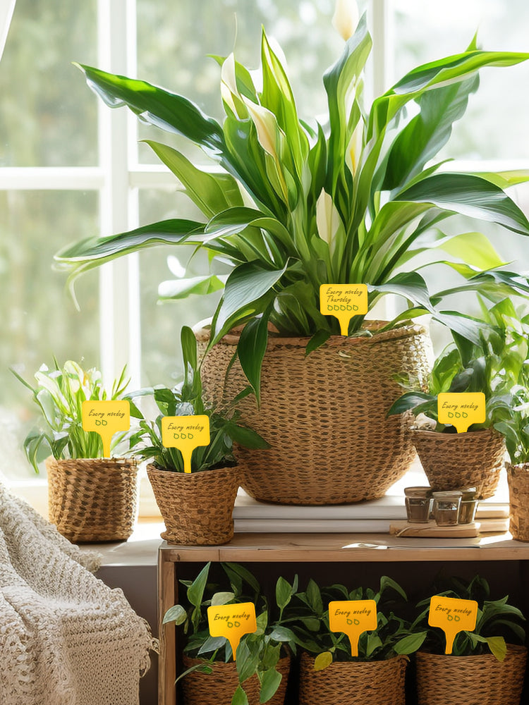 N306 T-shaped Plant Labels