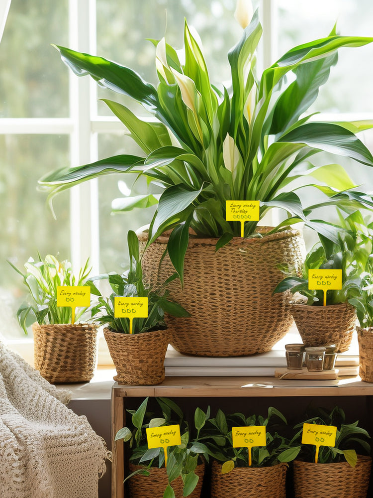 N307 T-shaped Plant Labels